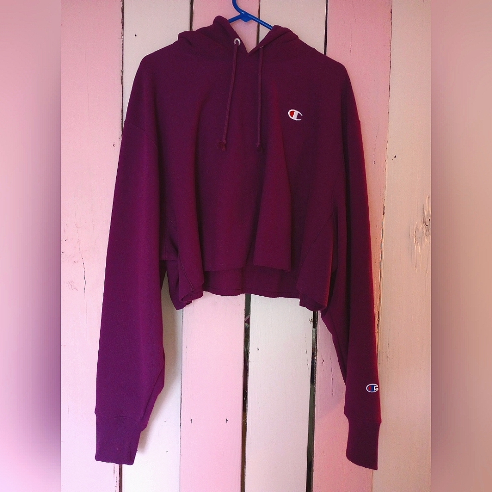 Champion Reverse Weave Cropped Hoodie
